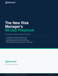 New risk managers 90 day playbook