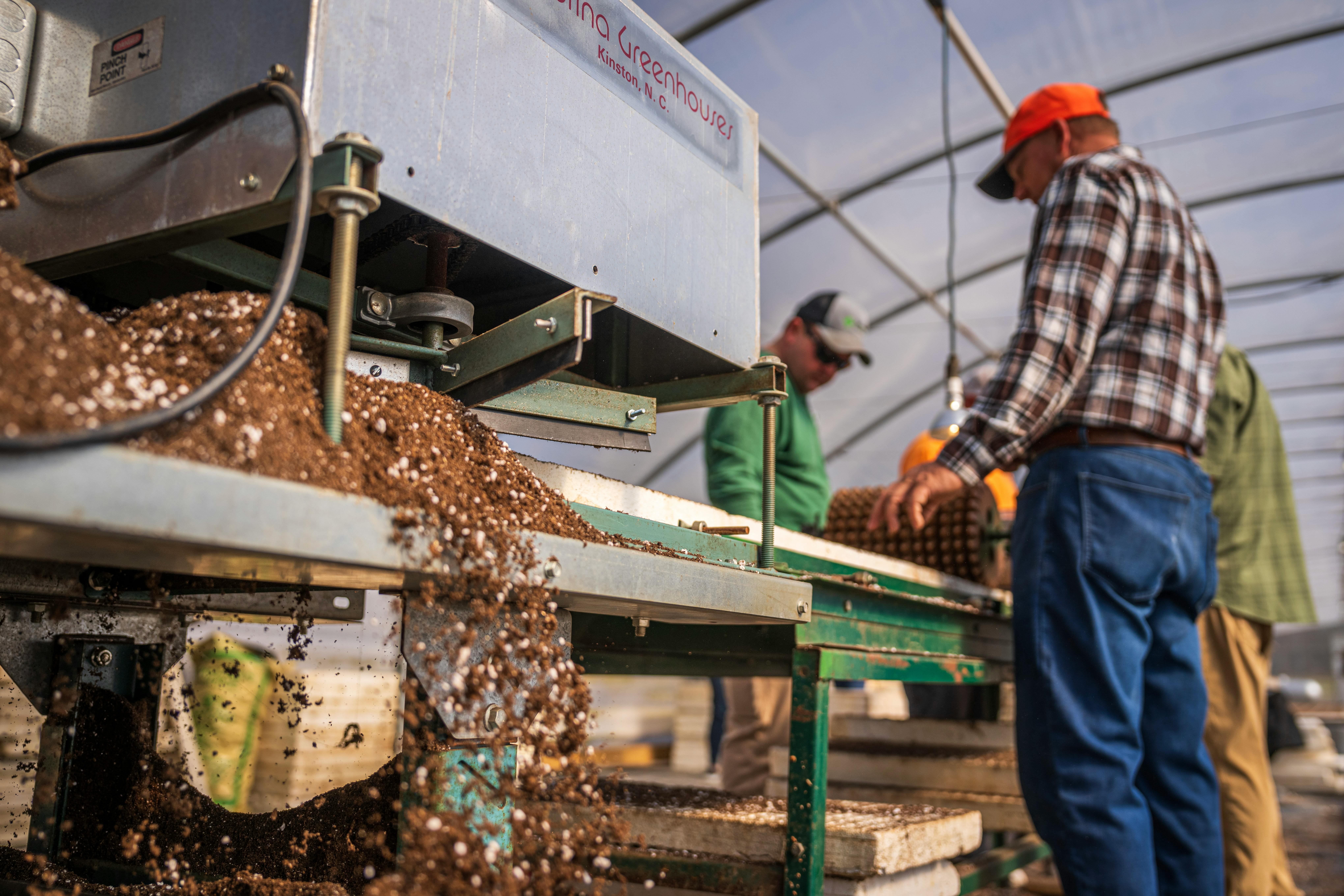 Men working in a greenhouse with advantages of risk management at disposal
