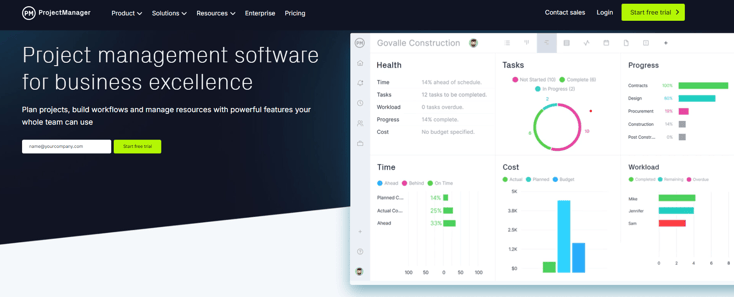 project risk management tools ProjectManager